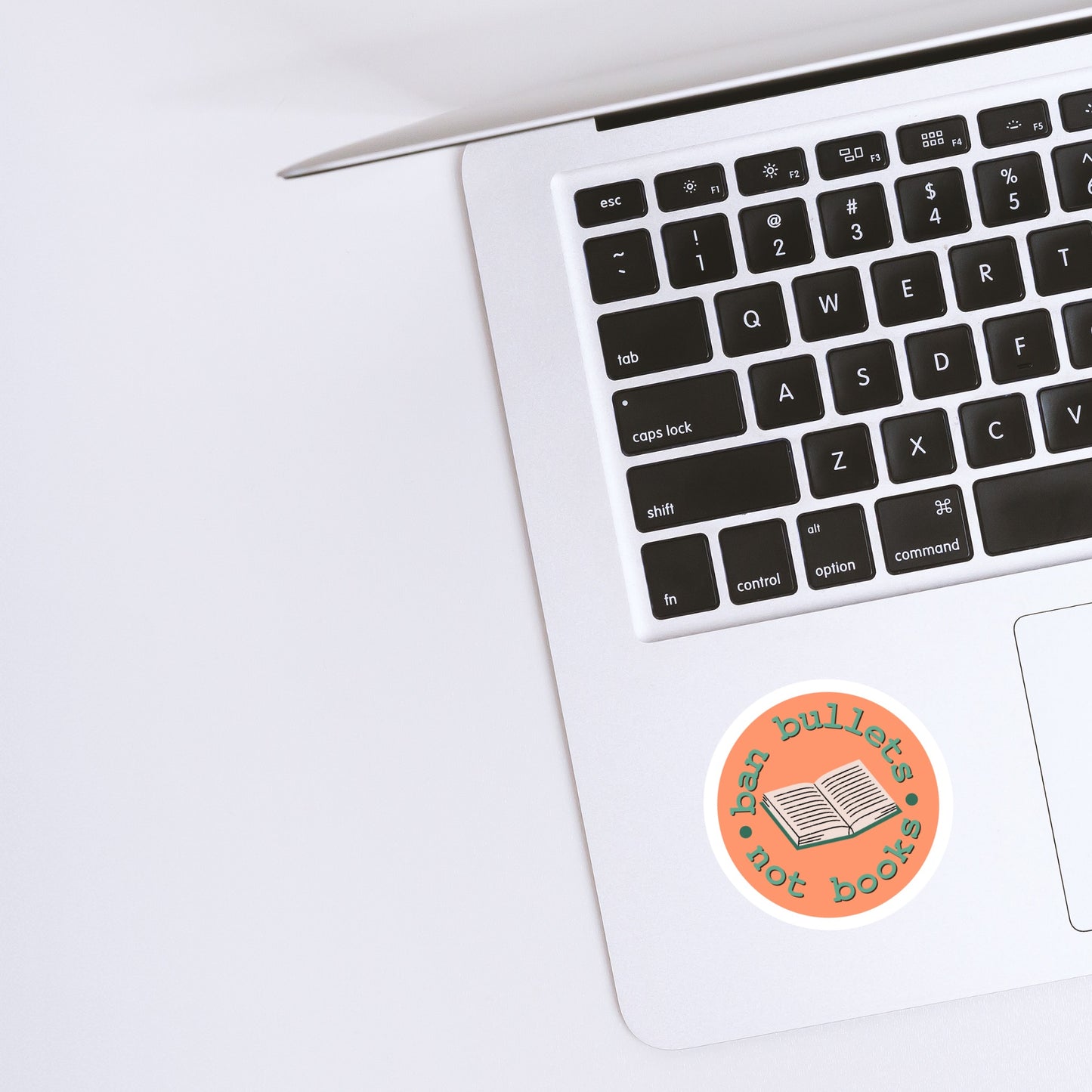 Ban Bullets Not Books Sticker